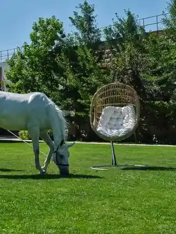 Balansoar ANITA Turcia Bej 3