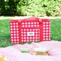Geanta termo pentru picnic 3