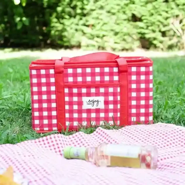 Geanta termo pentru picnic 3