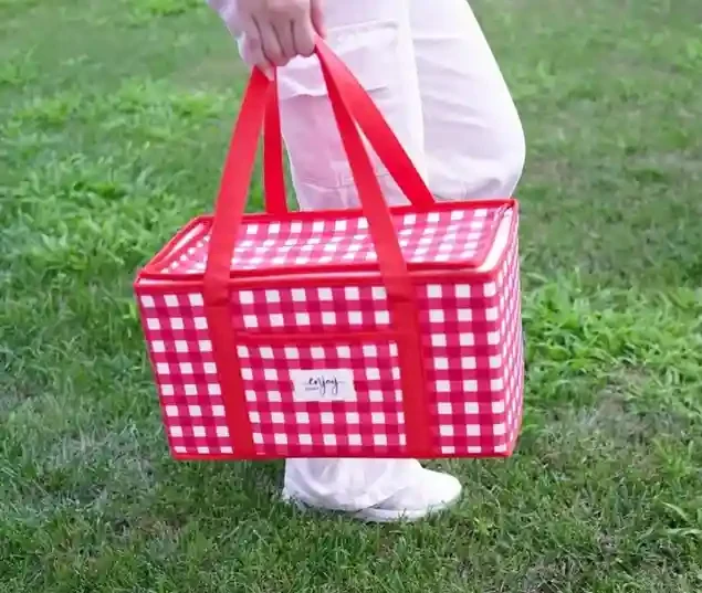 Geanta termo pentru picnic 4