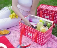 Geanta termo pentru picnic