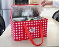 Geanta termo pentru picnic 2