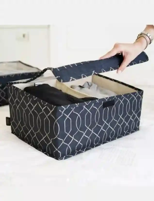 Cutie de depozitare ELEGANT MAXI cu capac Pvc 41x28x18 cm 2