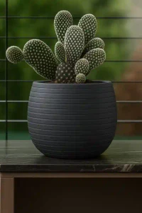 Ghiveci pentru Cactusi ELEVAN nr 5 Antracit 3