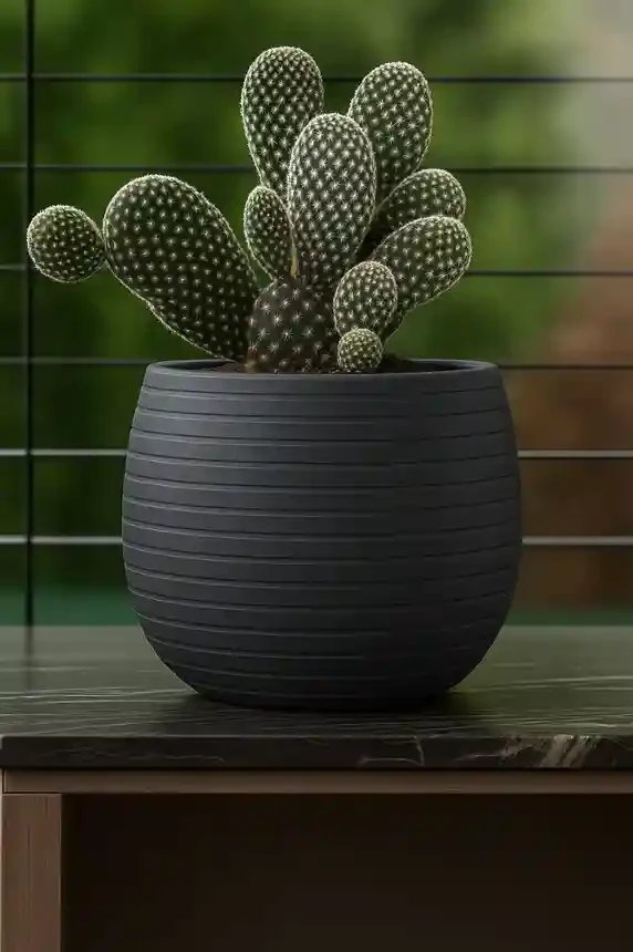 Ghiveci pentru Cactusi ELEVAN nr 5 Antracit 3