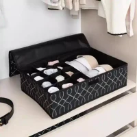 Cutie pentru lenjerie corp Multi-Grid  45x29x11cm